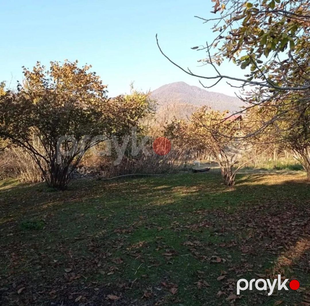 Satılır torpaq 54 sot — Torpaq, Zaqatala (4)
