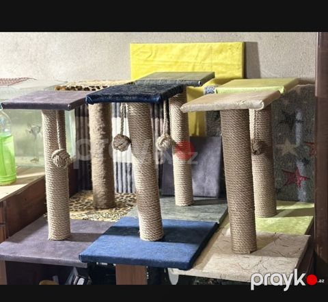 Salam, hər cür model pişiklər üçün dırnaq itiliyənlər düzəldirik