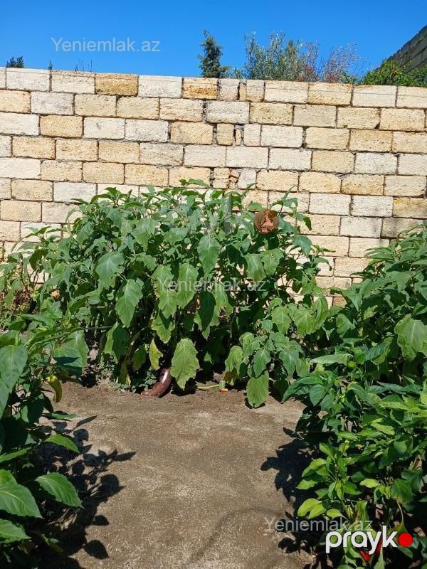 Satılır Torpaq sahəsi, 10 sot, Novxanı — Torpaq, Abşeron (6)
