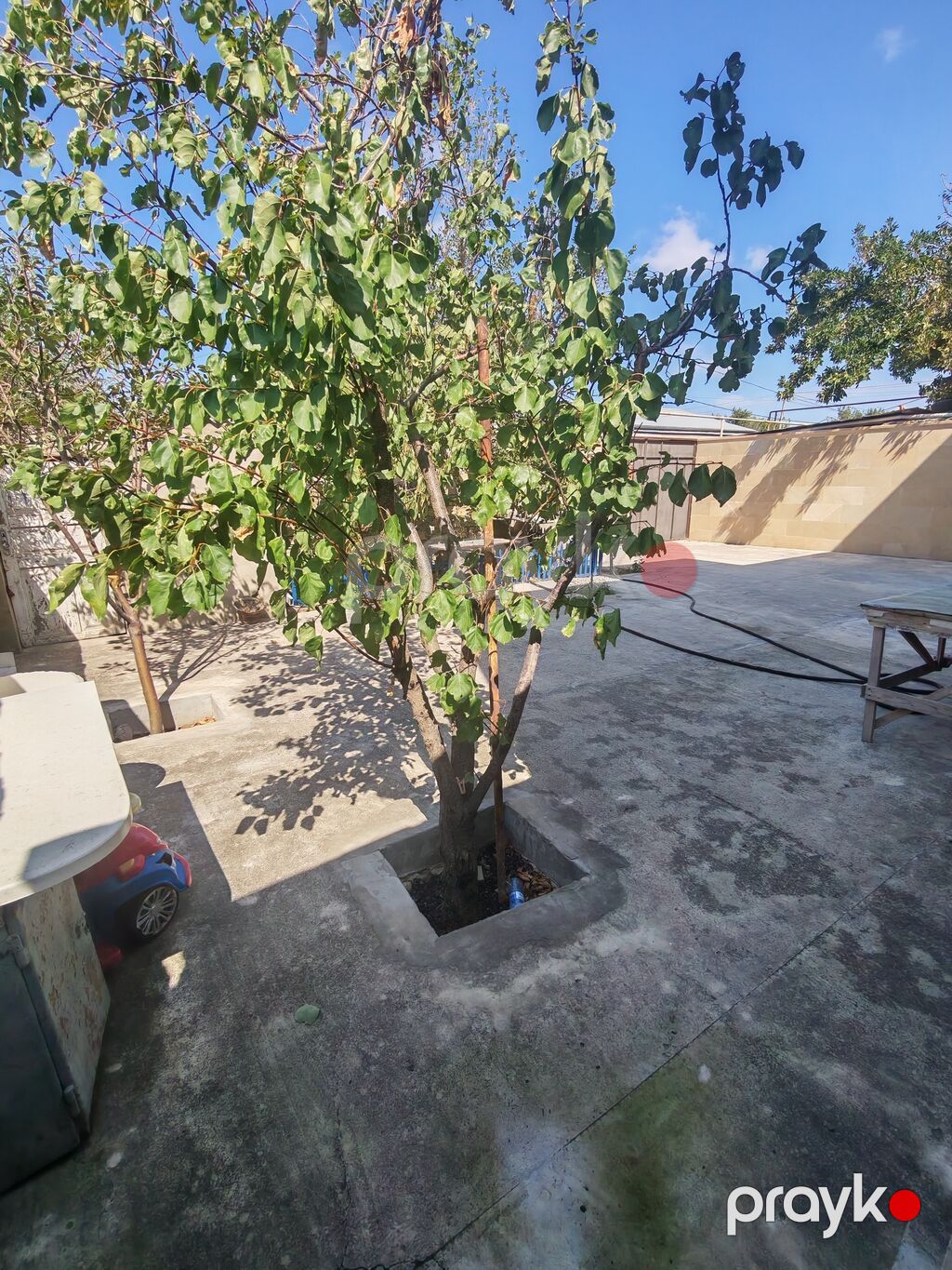 6 otaqlı, 210 kv. m, Yeni təmirli — Ev, villa, Ceyranbatan (5)