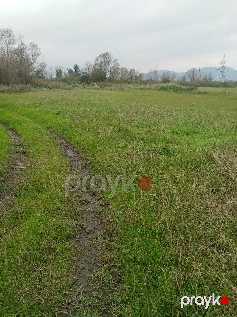 Satılır torpaq 500 sot — Torpaq, Şamaxı (2)