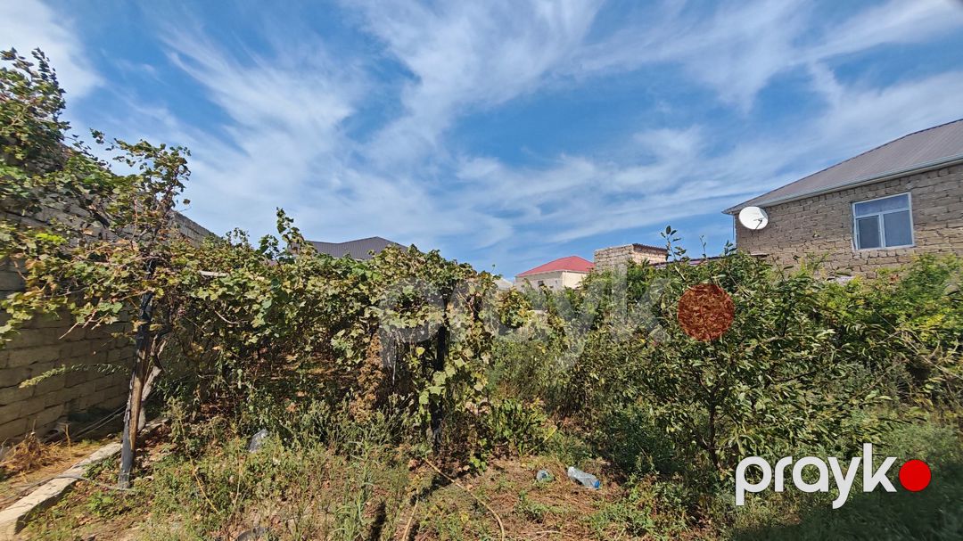 Satılır 3 otaqlı həyət evi/bağ evi 1000 m² — Ev, villa, Bakı (5)