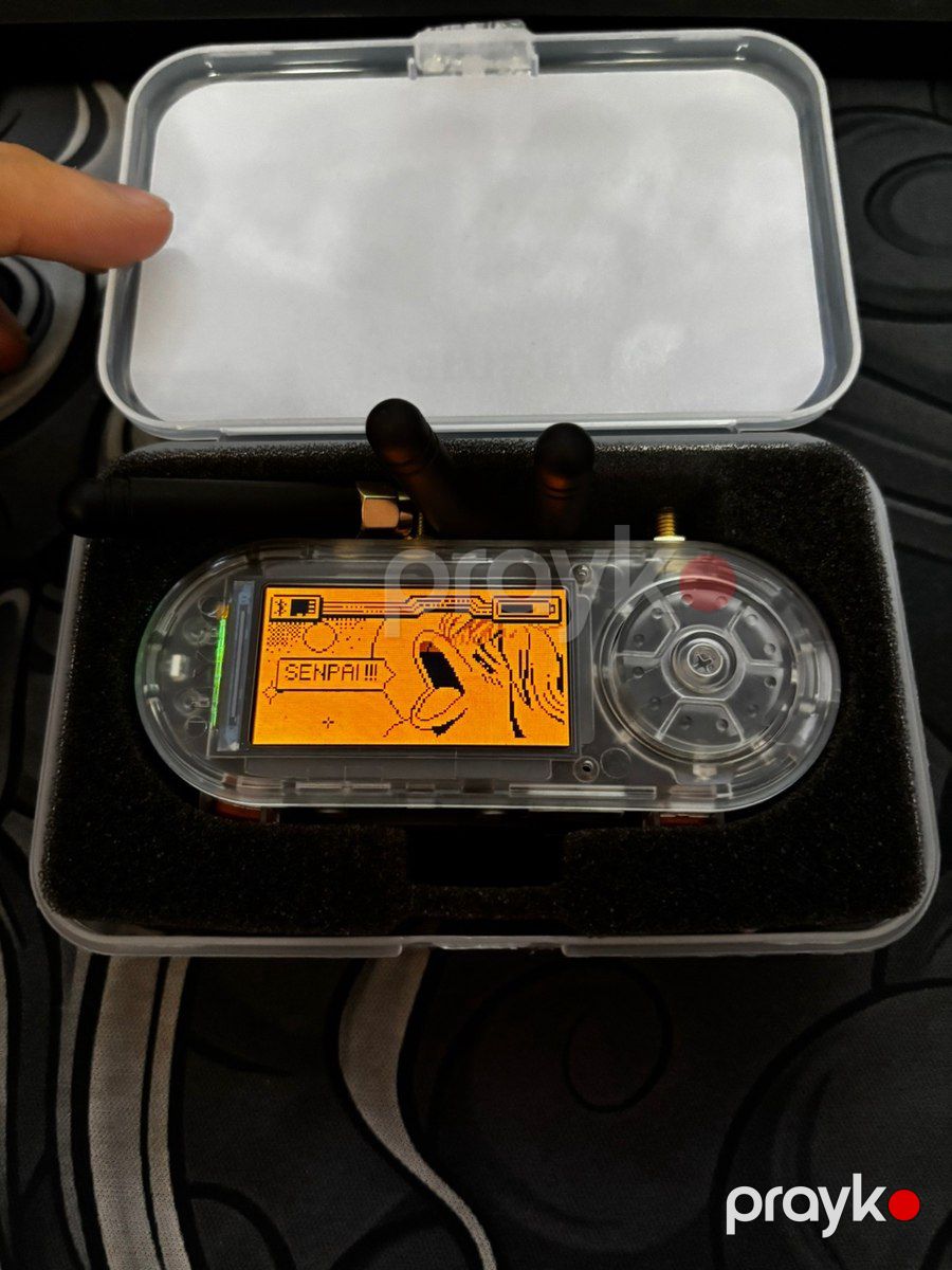 Flipper Zero — Şəbəkə və server avadanlığı, Bakı (5)