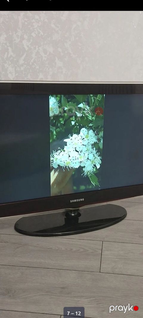 Samsung 82 ekran plazma TV satlir isdeyen buyursun — Güzdək