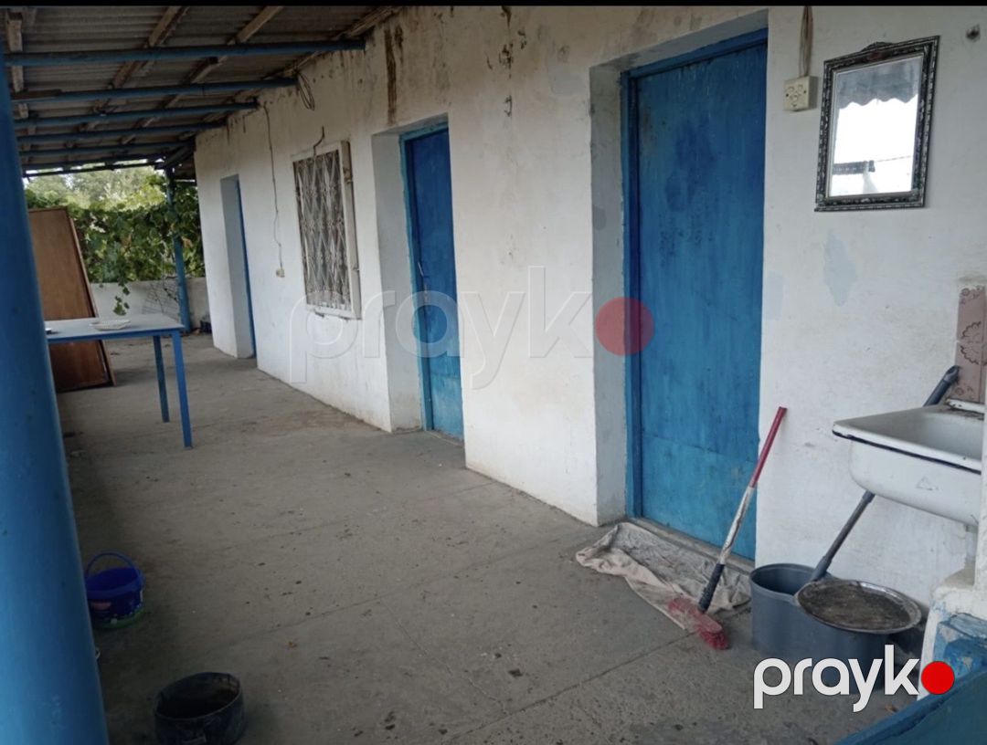 12 sot torpaq sahəsi, Pirşağı qəs — Torpaq, Bakı (4)