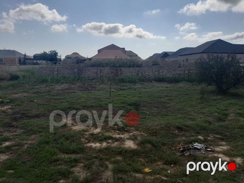 Sabunçu Rayonu ramana südçülük savxozunda əsas yoldan 20 metr kənarda — Bakı