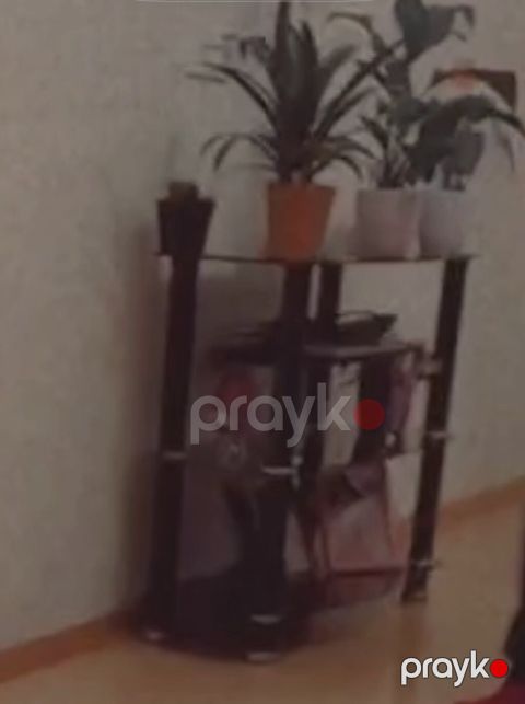 3 mərtəbəli televizor altlığı satılır. Yeni formadadır hec bir ləkəsi — Bakı