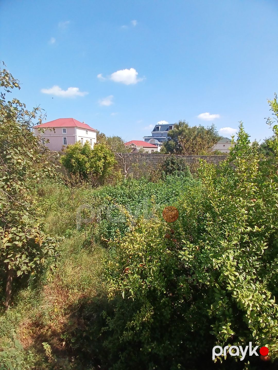 Satılır torpaq 10 sot — Torpaq, Bakı (2)
