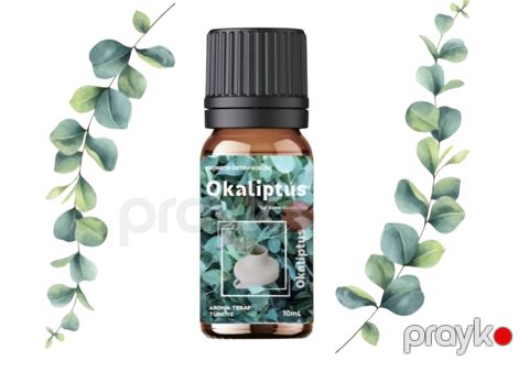 Efir yağı Aroma Therapy, Evkalipt, 10 ml, Aromaterapiya — Bakı