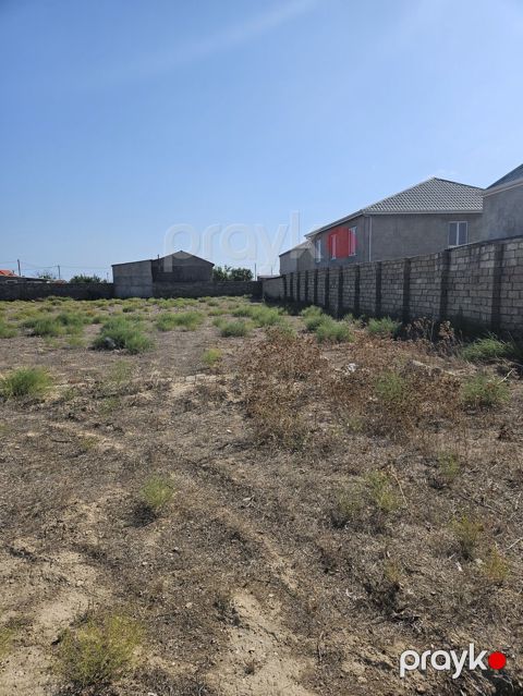 8 sot, Tikinti, Kupça (Çıxarış) — Digah