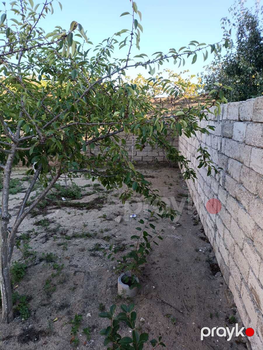 2.7 sot torpaq sahəsi, Maştağa qəs — Torpaq, Bakı (4)