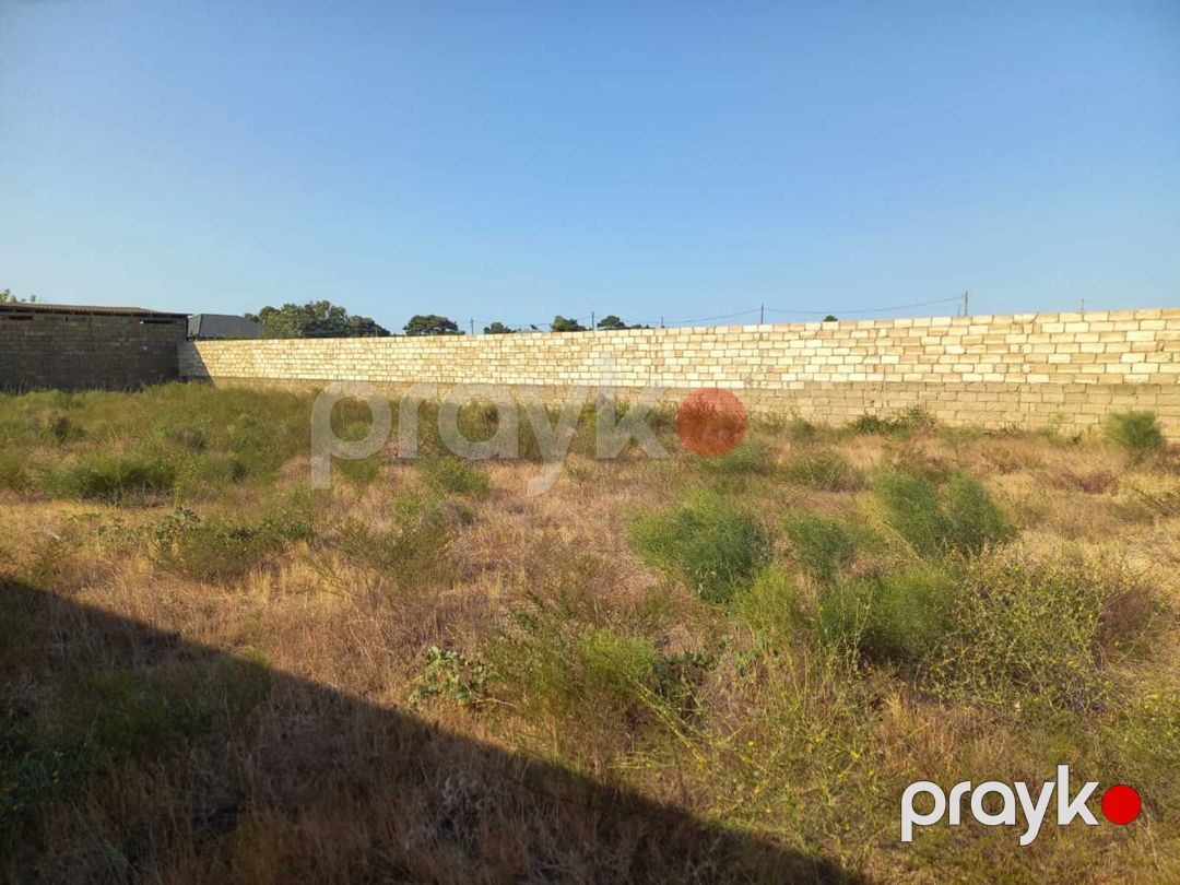 Satılır torpaq 12 sot — Torpaq, Bakı (7)
