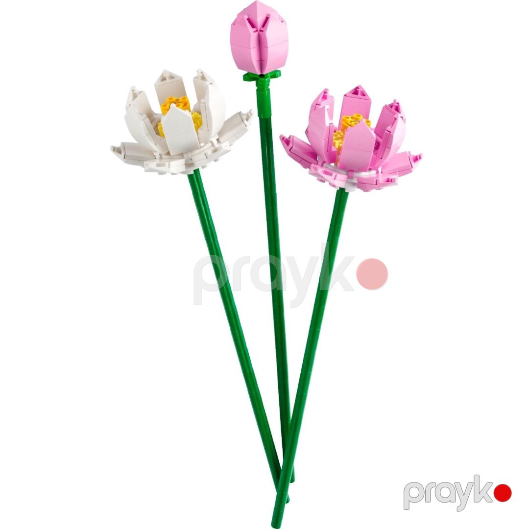 Konstruktor No Brand Icons Lotus Flowers 40647 — Mallar, Bakı (3)