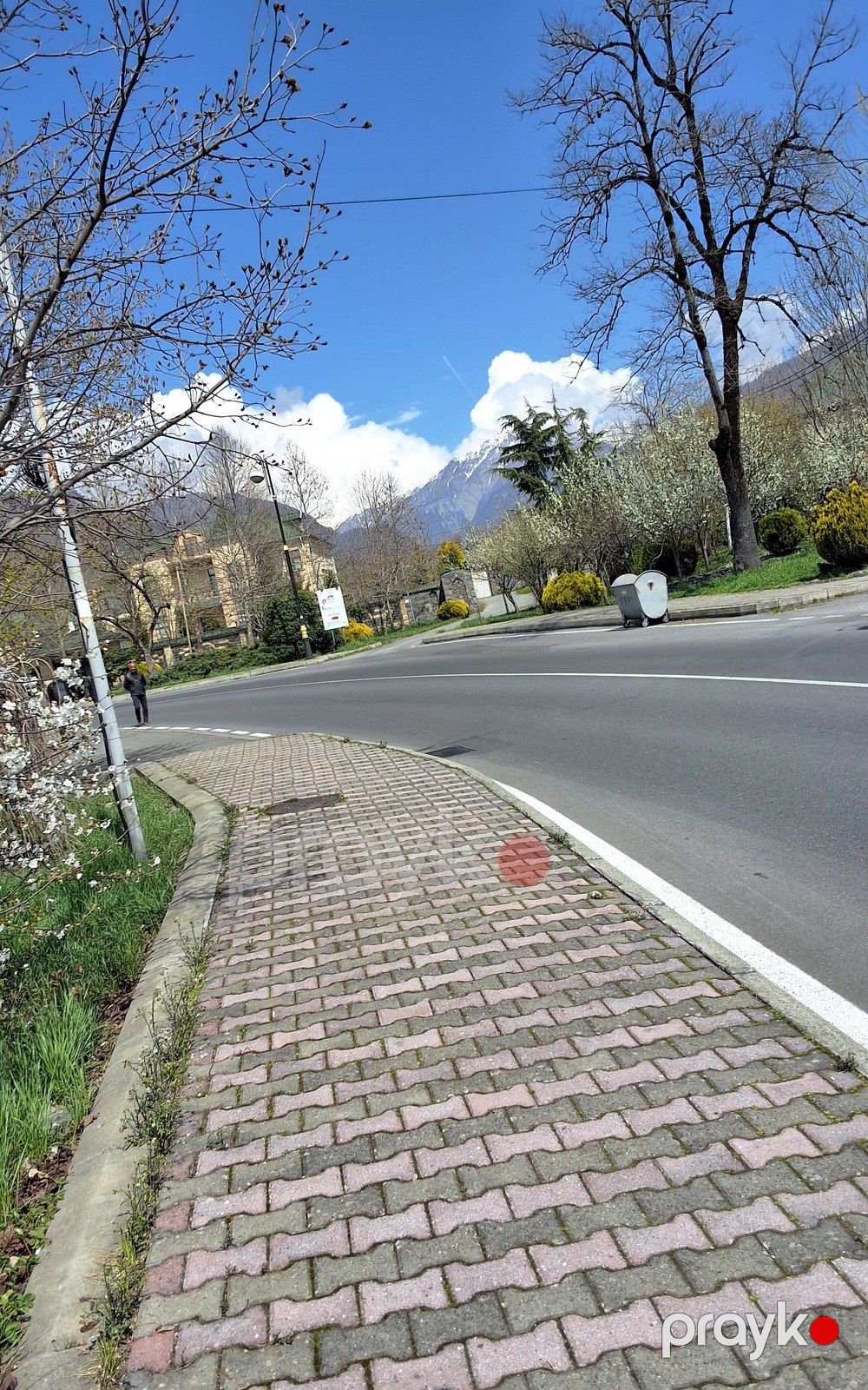 Satılır 7 otaqlı həyət evi/bağ evi 260 m² — Ev, villa, Qəbələ (11)