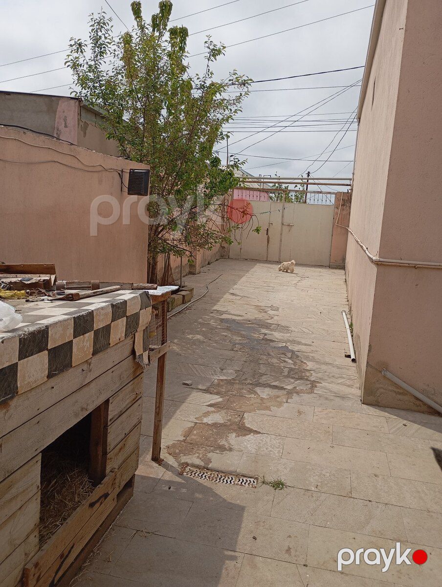 Həyət evi, Binəqədi r — Ev, villa, Bakı (7)