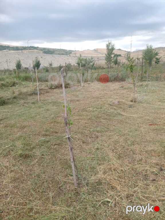 Satılır torpaq 12 sot — Torpaq, Şamaxı (10)