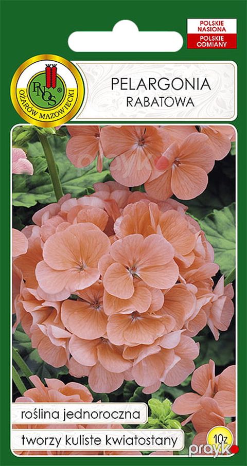 Çiçək toxumları Pnos Pelargonia Rabatowa, 10 əd — Bakı