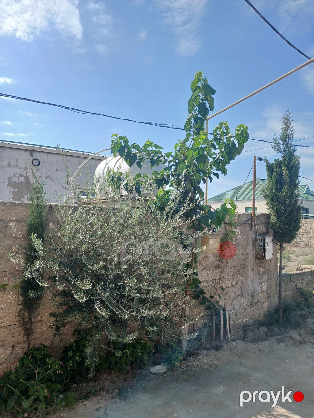 2 otaqlı həyət evi - Plan: 2 ayrı yataq otağı/otaq, zal, mətbəx və — Ev, villa, Digah (7)