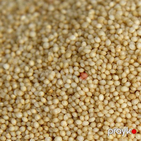 Amarant – Topdan Satış Təbii amarant toxumu Amarant qlütensiz — Bakı