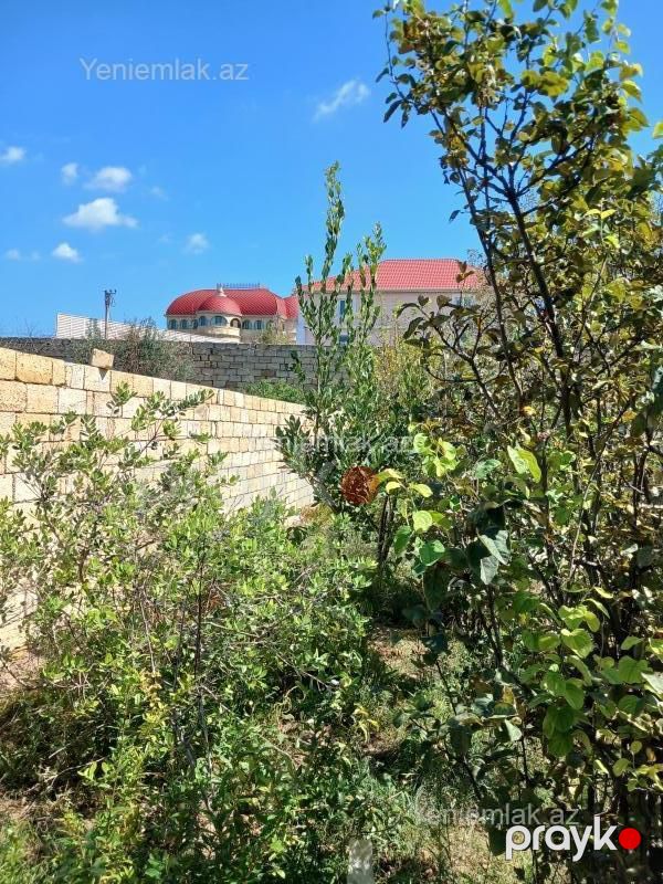 Satılır Torpaq sahəsi, 10 sot, Novxanı — Torpaq, Abşeron (9)