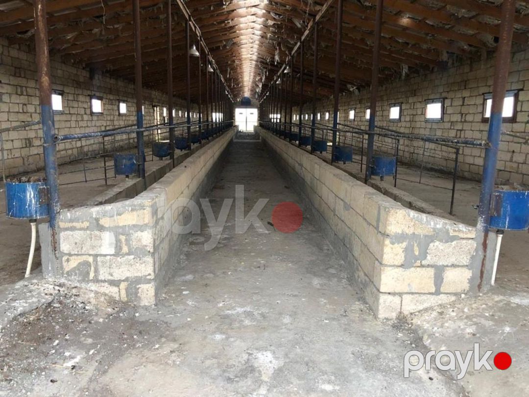 100 sot torpaq sahəsi, İmişli r — Torpaq, İmişli (2)