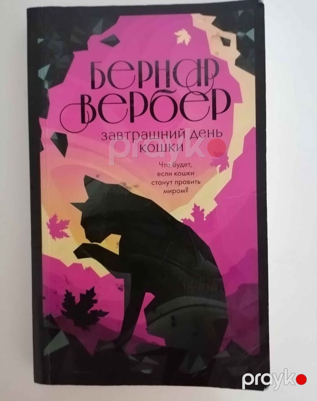 Rus dilində kitablar Книги "Девочка которая не видела снов" Сара Бет — Kitablar, Bakı (3)