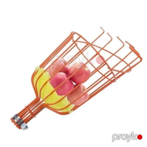 Meyvə dərən narıncı - prm1_55 — Bakı