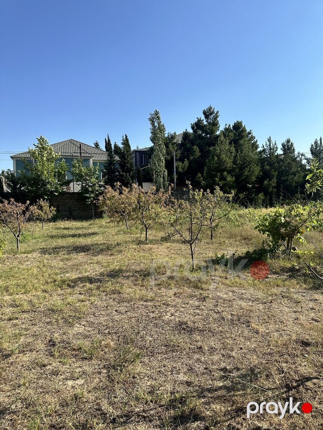 Satılır torpaq 5 sot — Torpaq, Bakı (3)