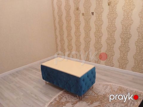 Jurnalnii Masa Mavi rengde — Bakı