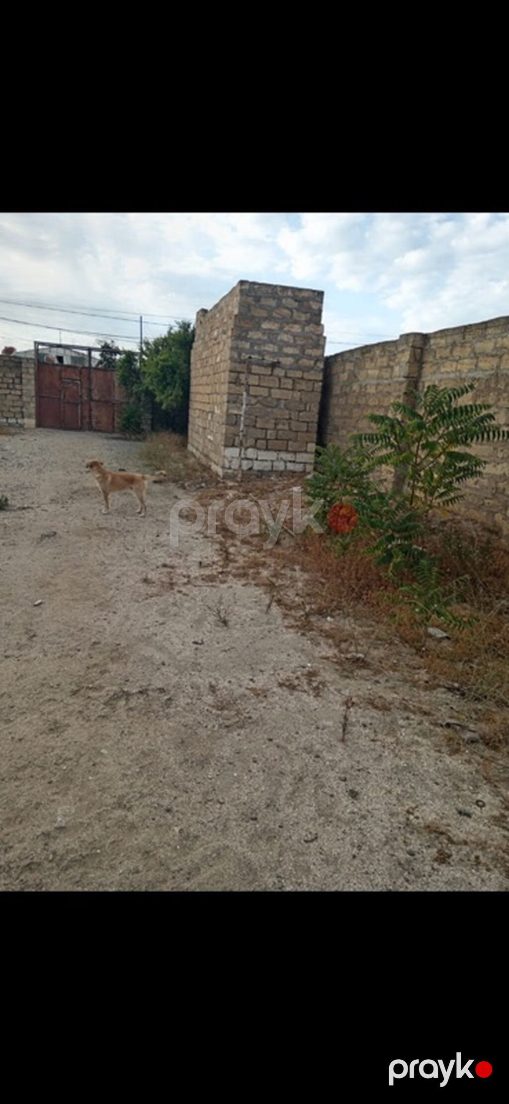 12 sot, Tikinti, Mülkiyyətçi, Kupça (Çıxarış) — Torpaq, Digah (2)