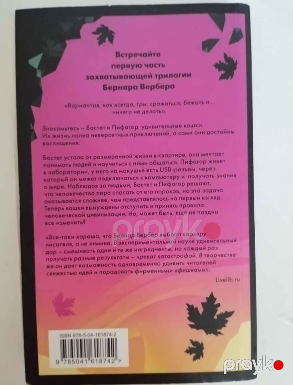 Rus dilində kitablar Книги "Девочка которая не видела снов" Сара Бет — Kitablar, Bakı (4)