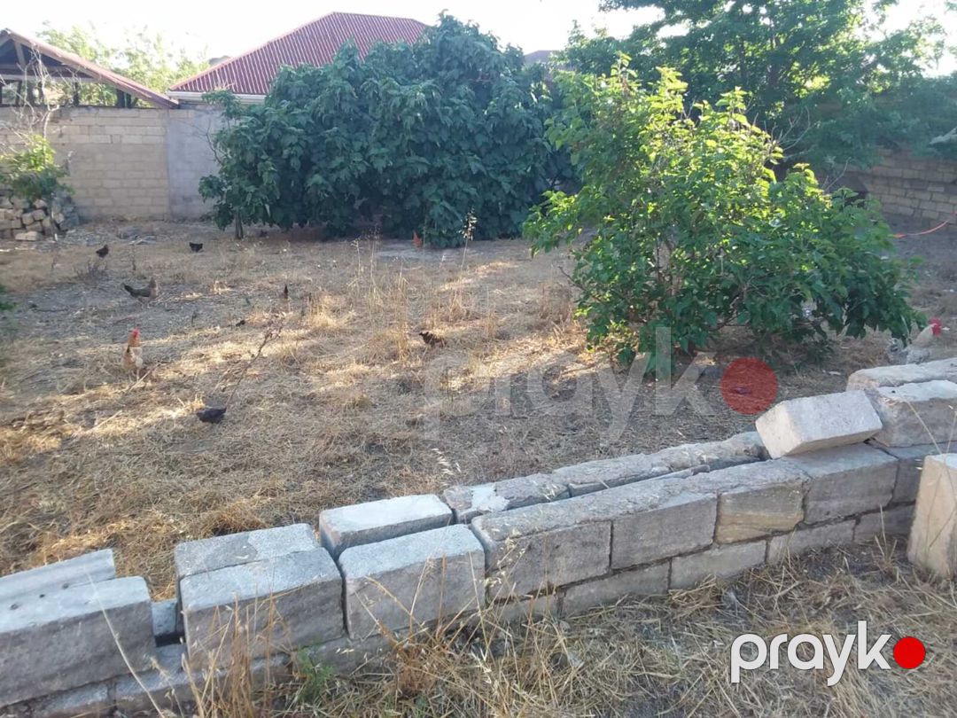 Satılır torpaq 5 sot — Torpaq, Bakı (3)