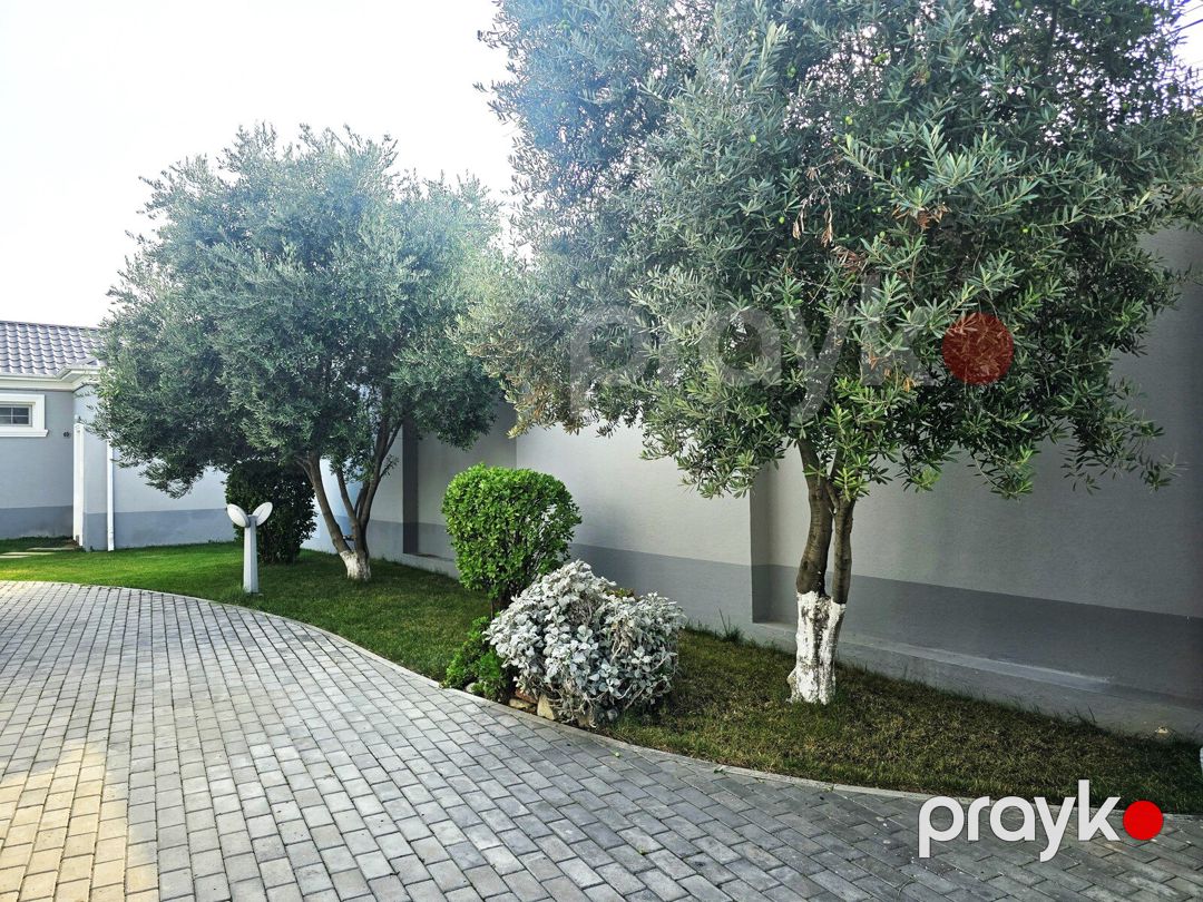 İcarəyə verilir 5 otaqlı həyət evi/bağ evi 500 m² — Ev, villa, Bakı (4)