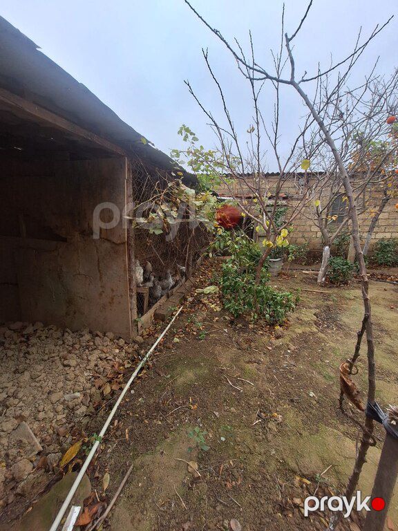 Həyət evi, Sumqayıt ş — Ev, villa, Sumqayıt (5)