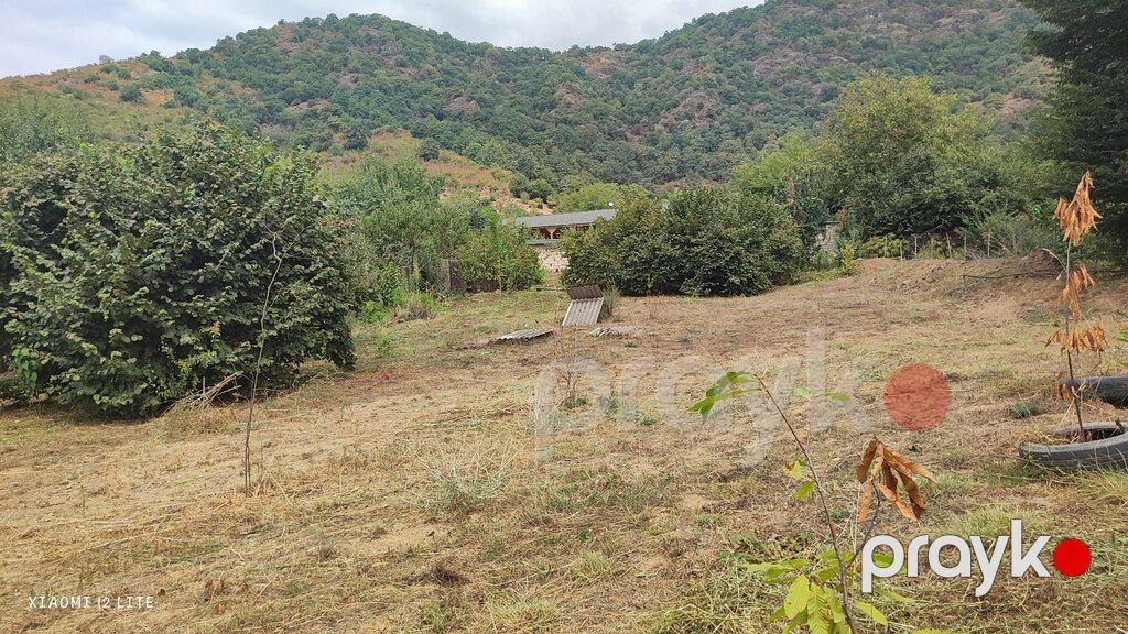 30 sot torpaq sahəsi, Qəbələ ş — Torpaq, Qəbələ (5)