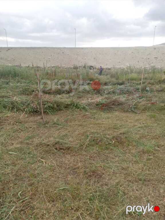 Satılır torpaq 12 sot — Torpaq, Şamaxı (7)
