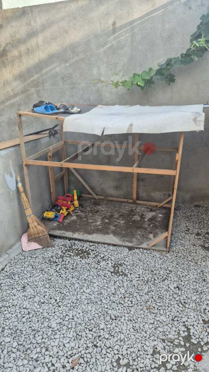 Quş yuvası — Heyvan malları, Bakı (2)