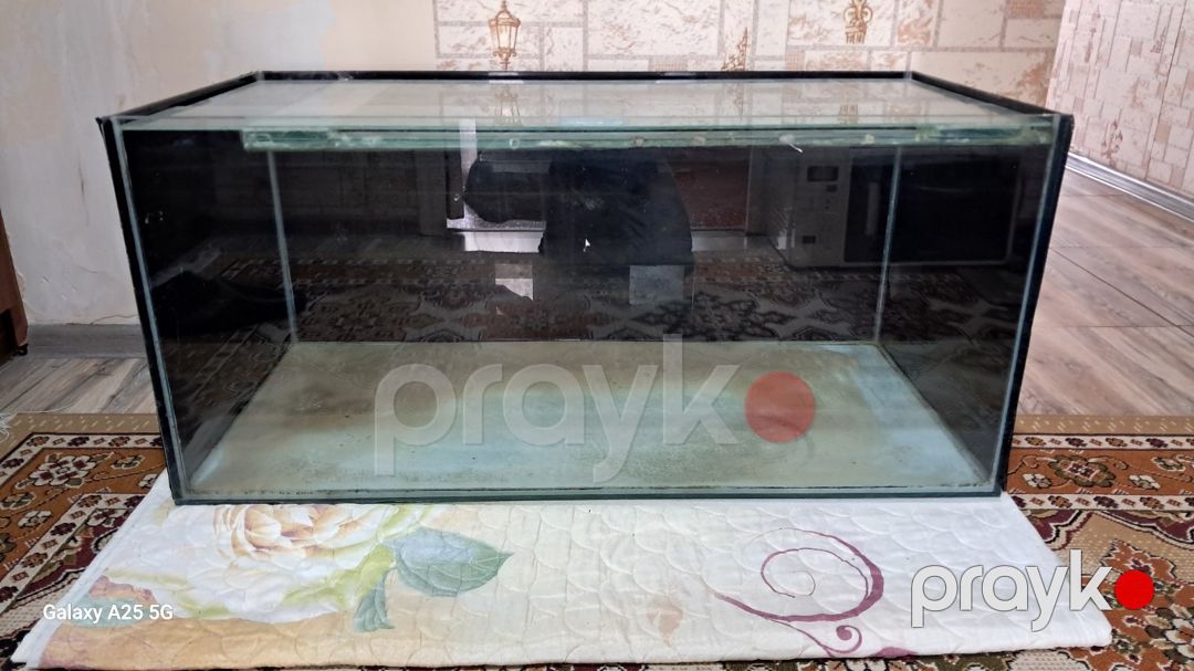 Akvarium — Akvariumlar və balıqlar, Bakı (2)
