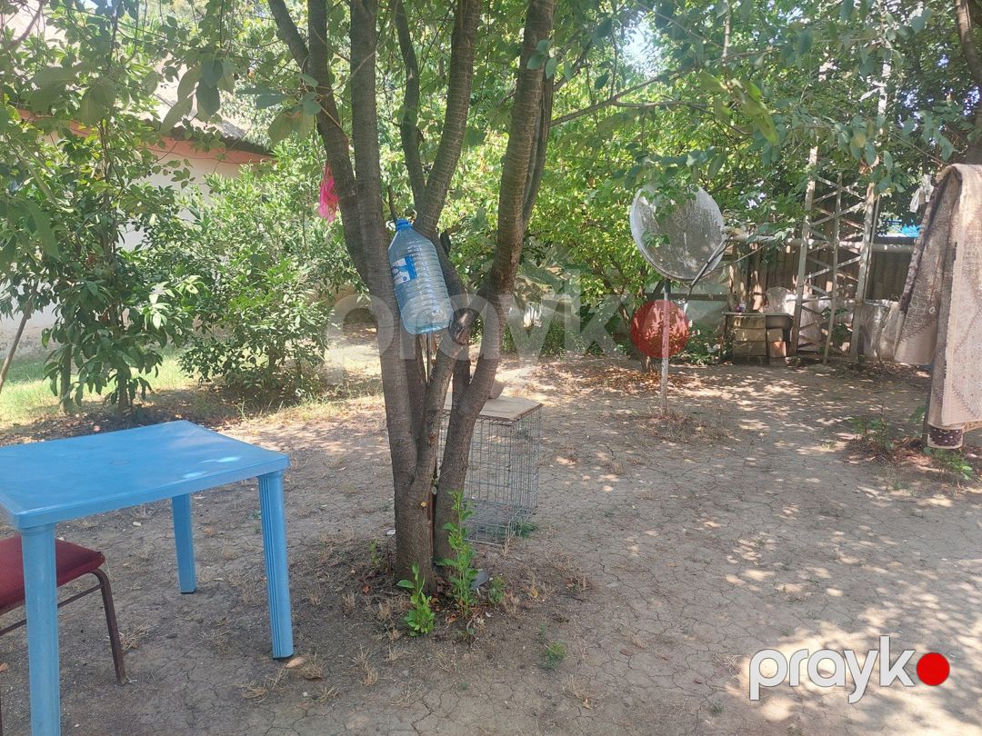 4 sot torpaq sahəsi, Masallı r — Torpaq, Masallı (9)