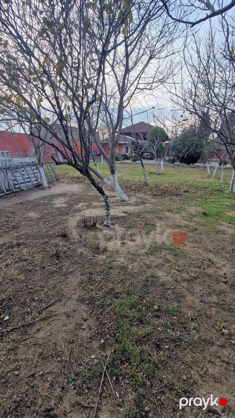 Satılır torpaq 6 sot — Torpaq, Bakı (9)