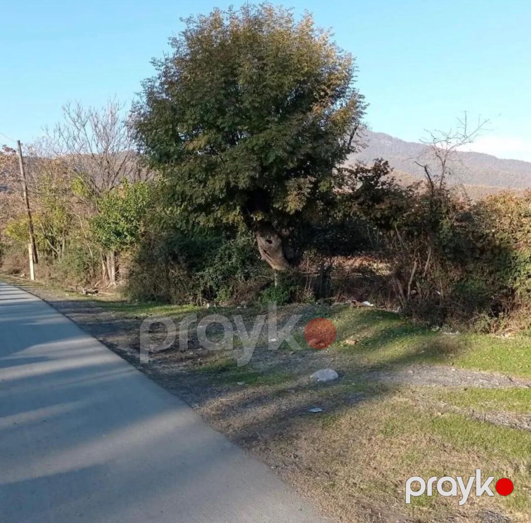 Satılır torpaq 54 sot — Torpaq, Zaqatala (2)