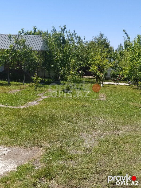 Torpaq Satılır Qəbələ, Qəbələ Vəndam qəsəbəsi 4 sot torpaq satılır, 4 sot — Torpaq, Qəbələ (2)