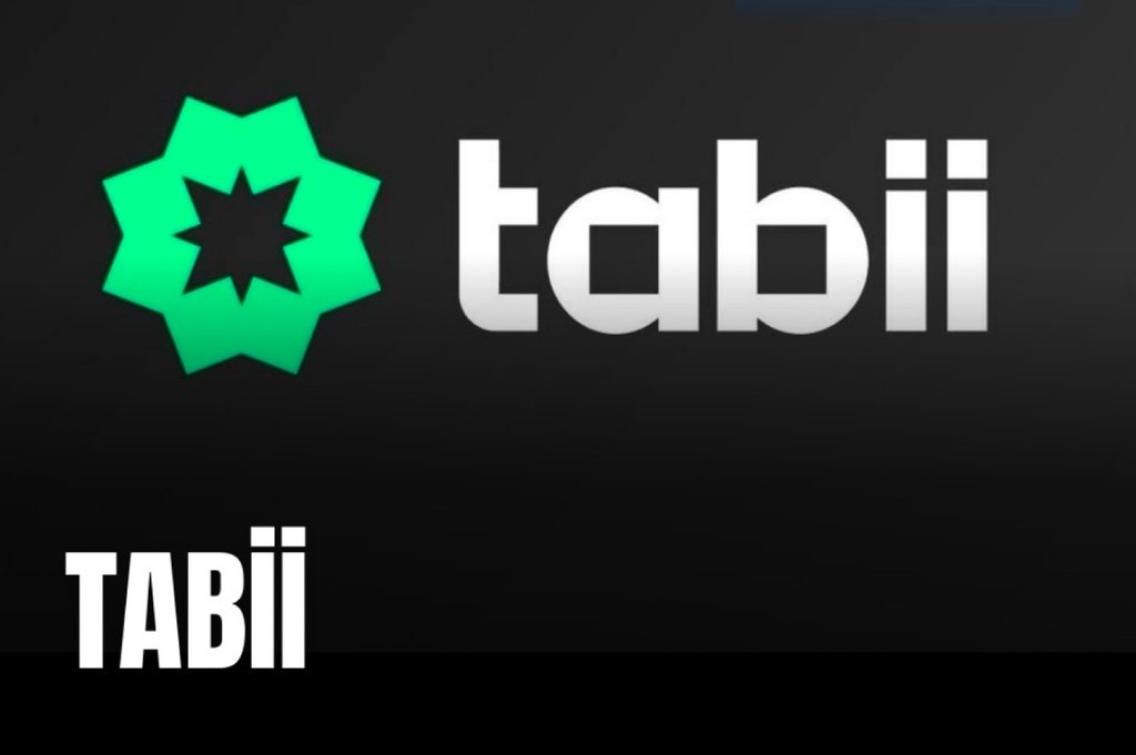 1 illik Iptv kanalların yazılması — Reklama, IT, marketing, Bakı (4)