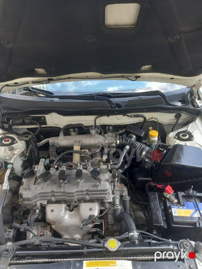 Nissan Sunny, 1.6 L, 2008 il, 214 000 km — Avtomobillər, Sumqayıt (5)