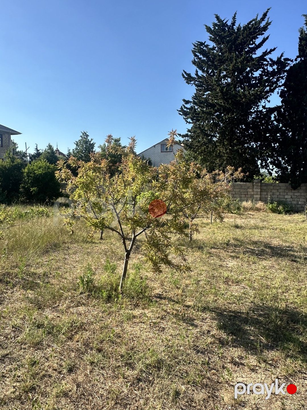 Satılır torpaq 5 sot — Torpaq, Bakı (5)