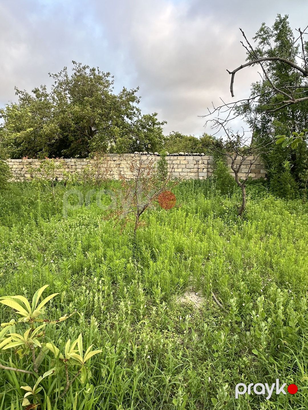 Satılır torpaq 3 sot — Torpaq, Bakı (4)