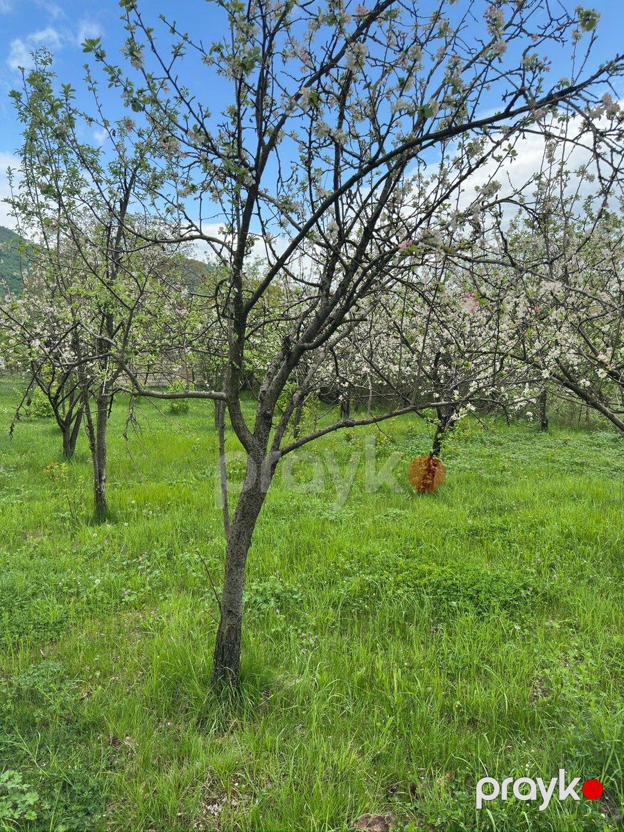 14 sot torpaq sahəsi, İsmayıllı r — Torpaq, İsmayıllı (8)