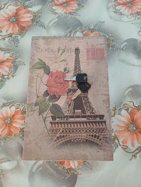 Gizli seyf-kitab (Eiffel qülləsi dizaynlı) - Xarici görünüş: üz — Seyflər