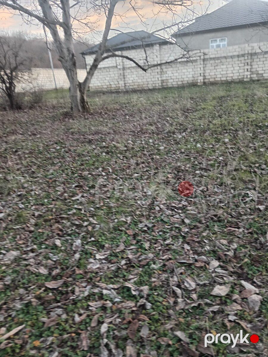 9 sot torpaq sahəsi, Quba r — Torpaq, Quba (3)