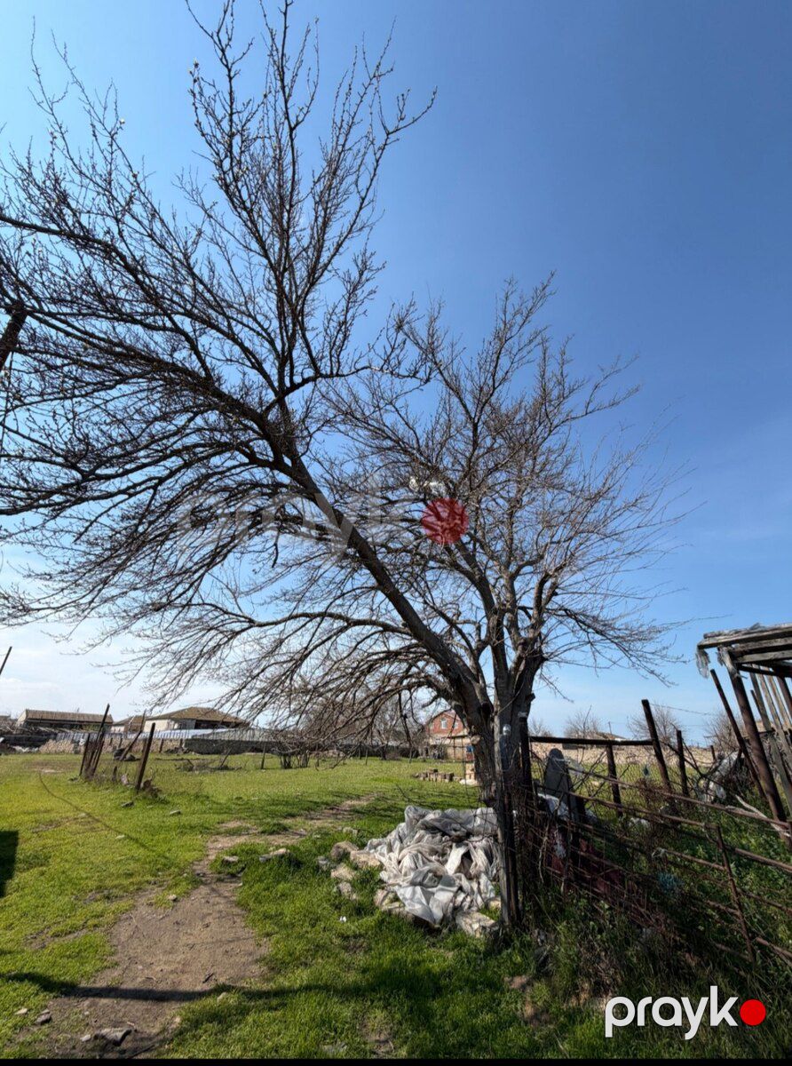 14 sot torpaq sahəsi, Kürdəxanı qəs — Torpaq, Bakı (2)